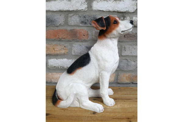 Jack Russell - Image 3