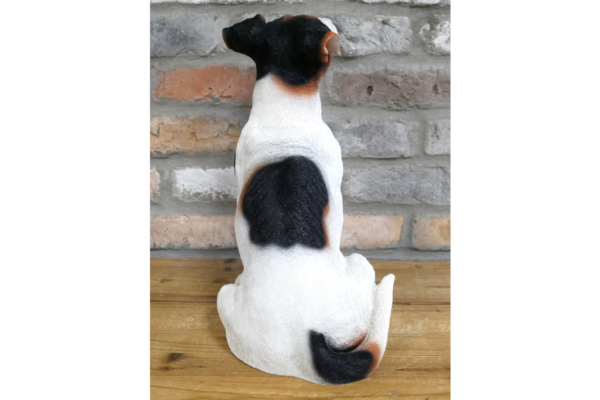 Jack Russell - Image 4