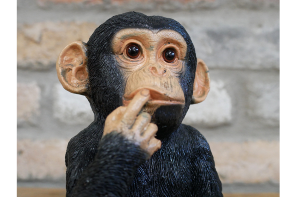 Finger in Mouth Monkey - Image 2