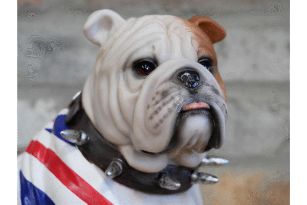 British Bulldog - Image 2