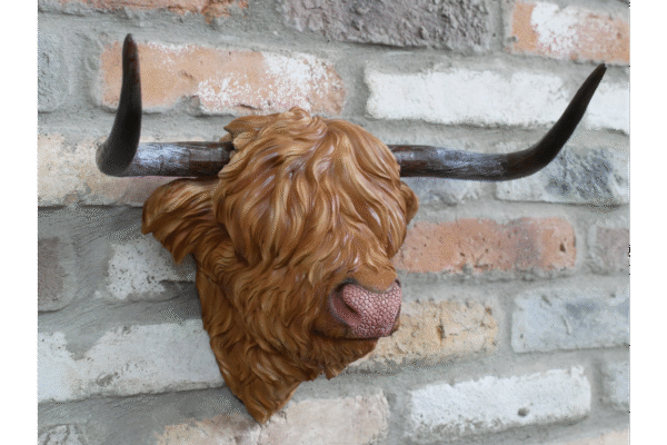 Cow Head - Image 2