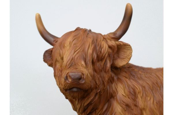 Highland Cow - Image 2