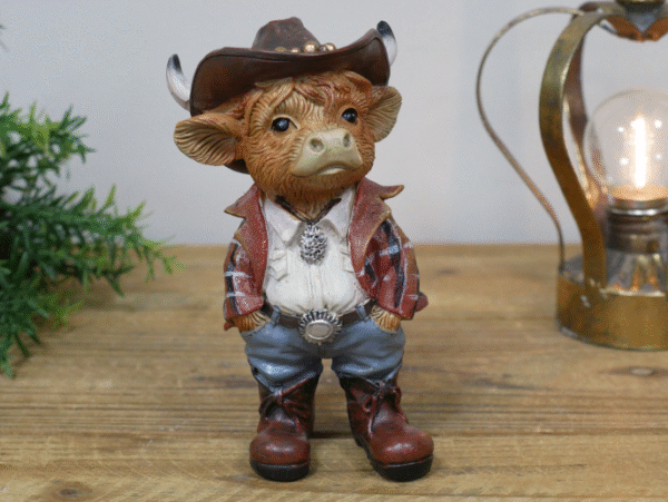 Highland Cowboy