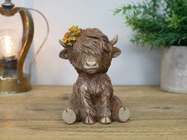 Sitting Highland Cow
