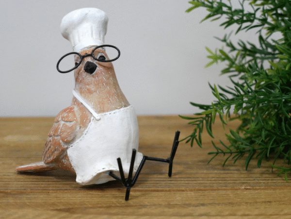 Bird Chef with Glasses