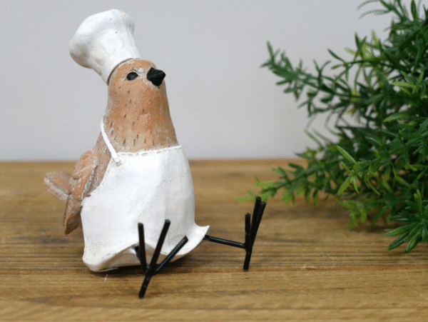 Bird Chef