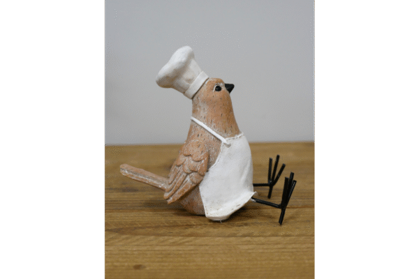 Bird Chef - Image 2