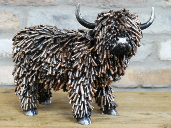 Shaggy Cow