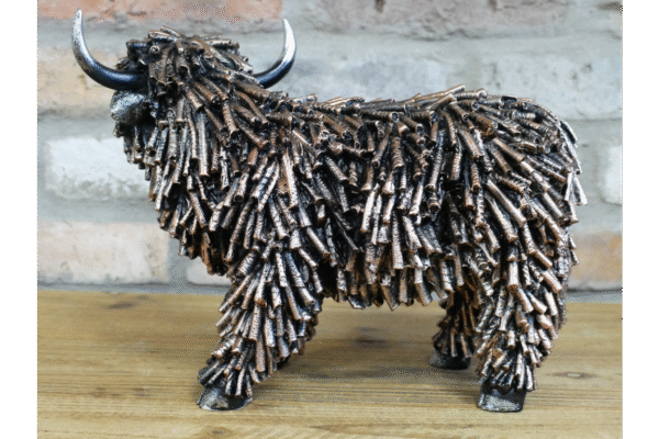 Shaggy Cow - Image 3