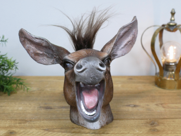 Donkey Head