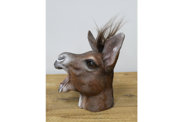 Donkey Head - Image 2