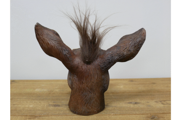 Donkey Head - Image 3