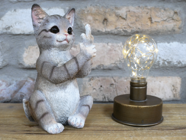 Up Yours Cat