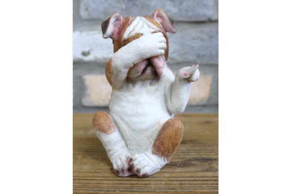 Who Done It Bulldogs ( set of 3 ) - Image 2