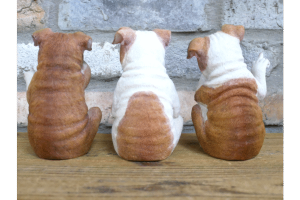 Who Done It Bulldogs ( set of 3 ) - Image 5