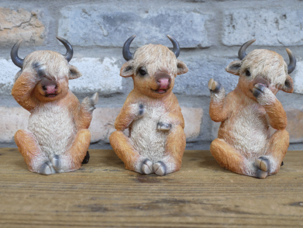Who Done It Cows ( set of 3 )