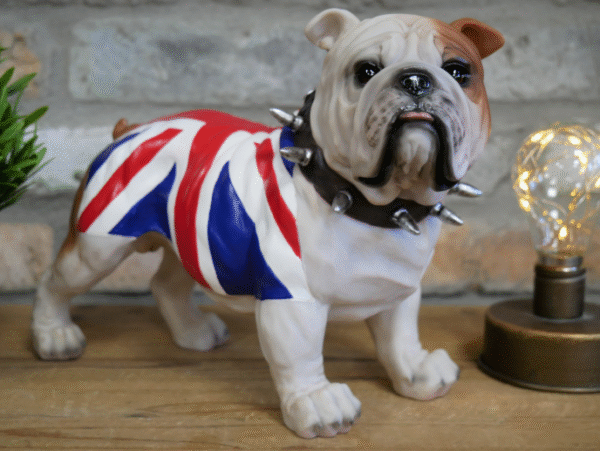 Standing British Bulldog