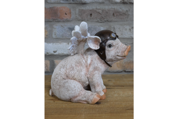 Flying Pig - Image 2