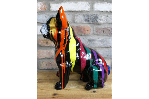 Multi French Bulldog - Image 3