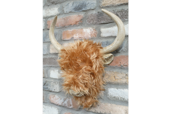 Woolly Highland Cow Wall Decoration - Image 2