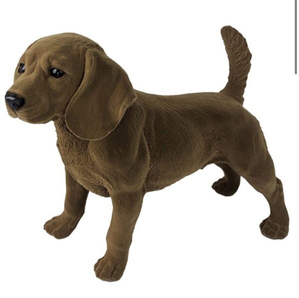 Floppy Eared Standing Dog Flock Finish
